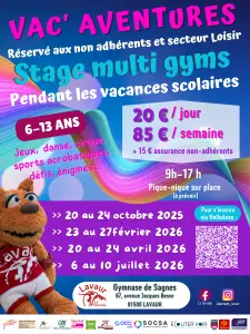 affiche annuel vacaventures